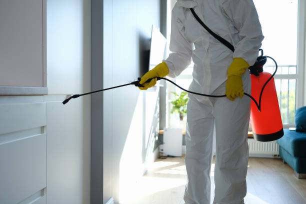 Best Commercial Mold Removal  in Fort Plain, NY