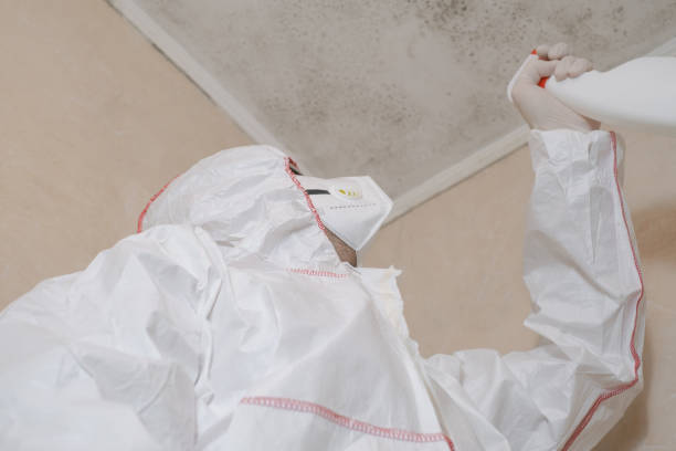 Best Crawl Space Mold Removal  in Fort Plain, NY